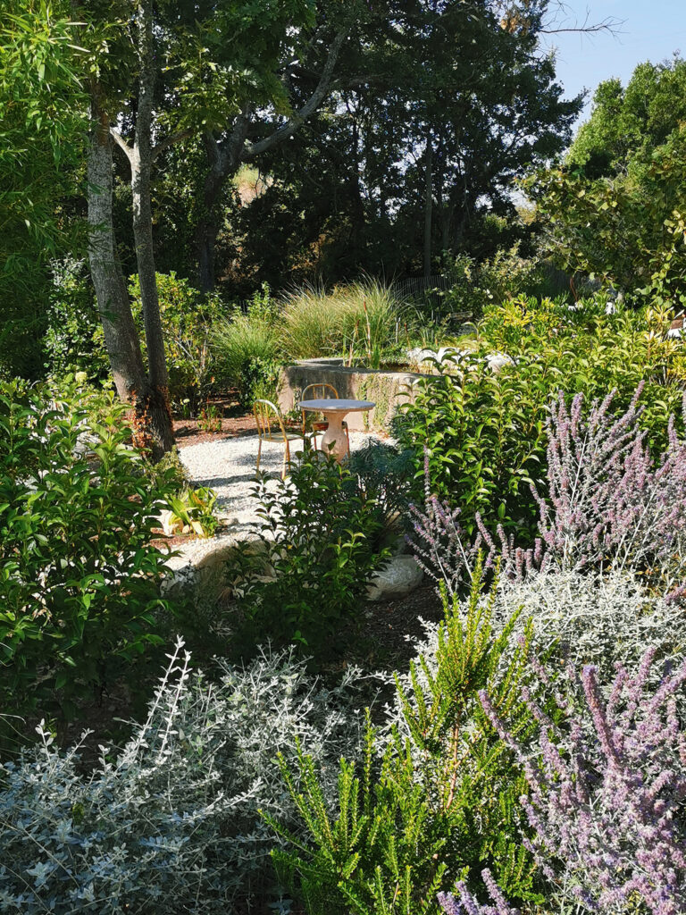 jardin en pleine garrigue