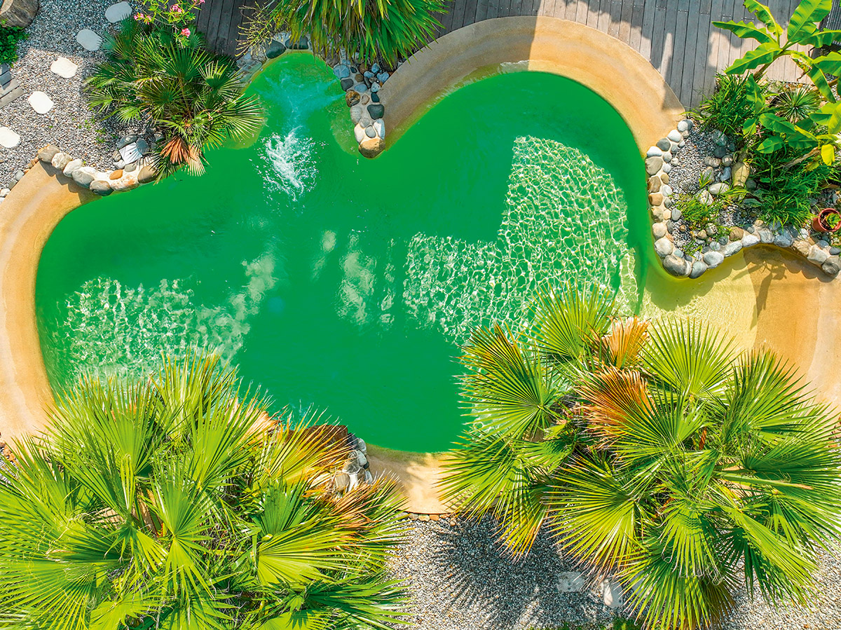 piscine de forme libre Diffazur