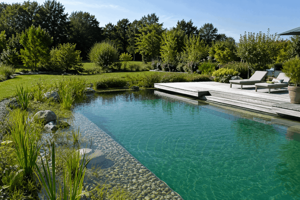 Piscine naturelle biologique avec filtration végétale, eau claire et aménagement paysager écologique.