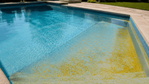 Dépôt d’algue moutarde visible au fond d’une piscine avec eau claire et poudre jaune sur les marches et le bassin.