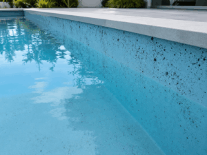 Taches d’algues noires incrustées sur la paroi d’une piscine enterrée